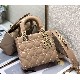 LADY DIOR MY ABCDIOR BAG Patent Cannage Calfskin