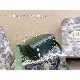 LADY DIOR MY ABCDIOR BAG Gradient Cannage Lambskin