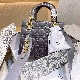 LADY DIOR MY ABCDIOR BAG Gradient Cannage Lambskin