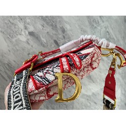 DIORAMOUR SADDLE BAG