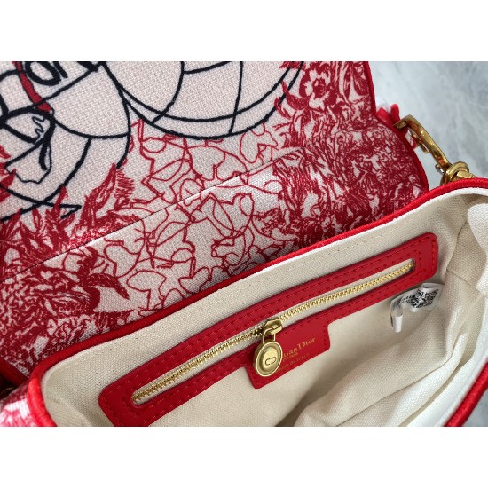 DIORAMOUR SADDLE BAG