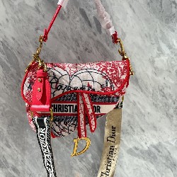DIORAMOUR SADDLE BAG