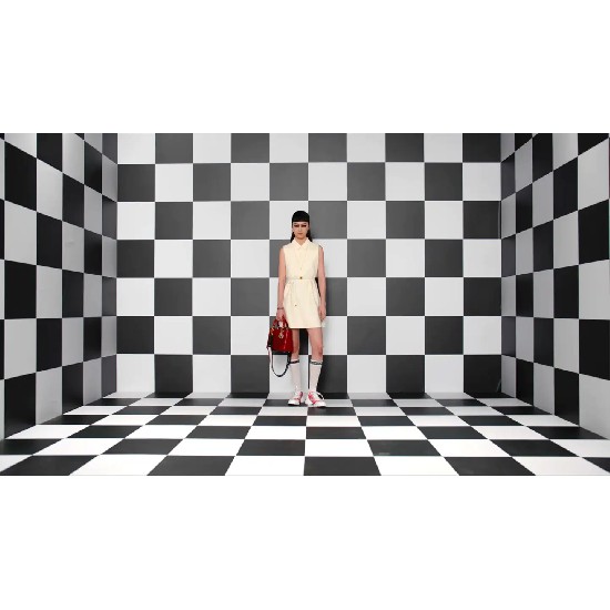 D-CONNECT DIORAMOUR SNEAKER