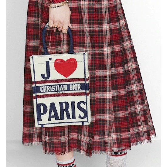 SAC DIOR BOOK TOTE VERTICAL