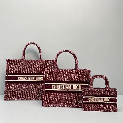 DIOR BOOK TOTE