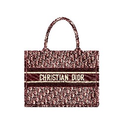 DIOR BOOK TOTE