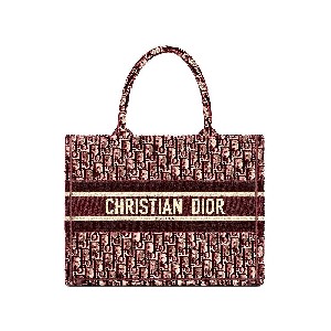 DIOR BOOK TOTE