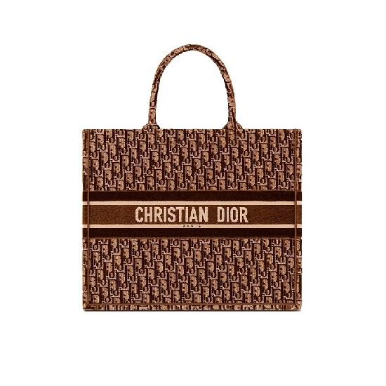 DIOR BOOK TOTE