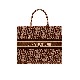 DIOR BOOK TOTE