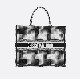 DIOR BOOK TOTE