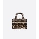 DIOR BOOK TOTE