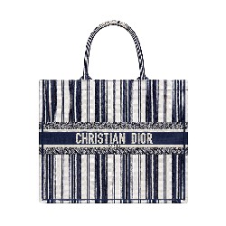 DIOR BOOK TOTE