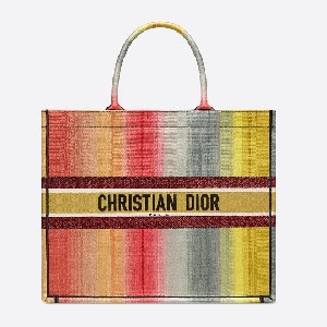 DIOR BOOK TOTE