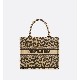 DIOR BOOK TOTE