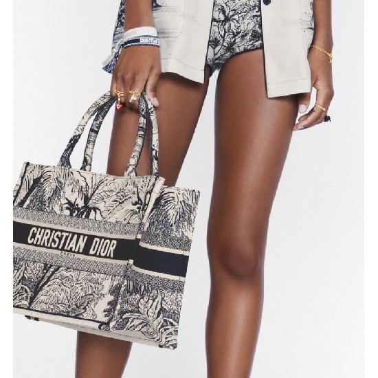 DIOR BOOK TOTE