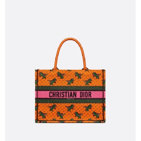 DIOR BOOK TOTE