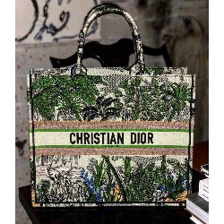 DIOR BOOK TOTE