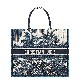 DIOR BOOK TOTE