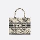DIOR BOOK TOTE