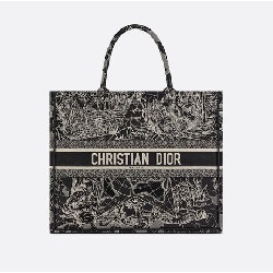 DIOR BOOK TOTE