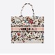 DIOR BOOK TOTE