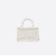 DIOR BOOK TOTE