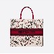 DIOR BOOK TOTE