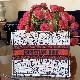 DIOR BOOK TOTE