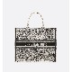 DIOR BOOK TOTE
