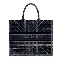 DIOR BOOK TOTE