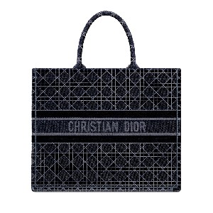 DIOR BOOK TOTE