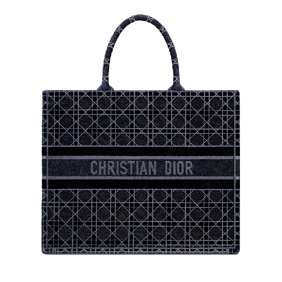DIOR BOOK TOTE
