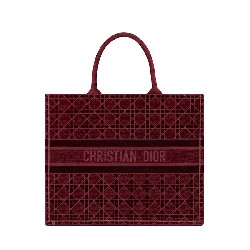 DIOR BOOK TOTE