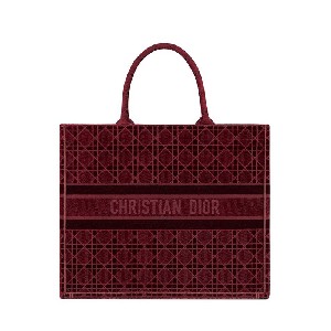 DIOR BOOK TOTE