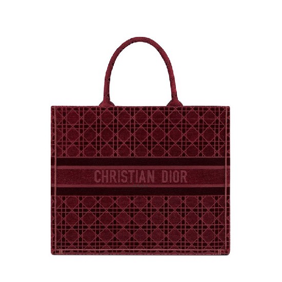 DIOR BOOK TOTE
