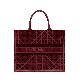 DIOR BOOK TOTE