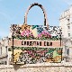 DIOR BOOK TOTE
