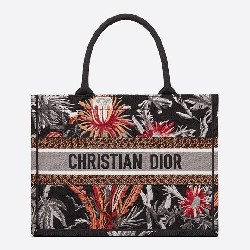 DIOR BOOK TOTE