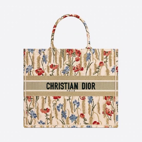 DIOR BOOK TOTE