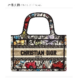 DIOR BOOK TOTE