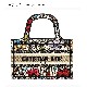 DIOR BOOK TOTE