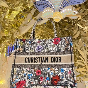 DIOR BOOK TOTE