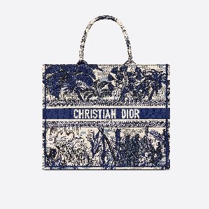 DIOR BOOK TOTE