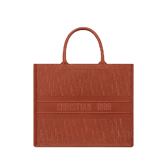 DIOR BOOK TOTE