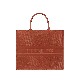 DIOR BOOK TOTE