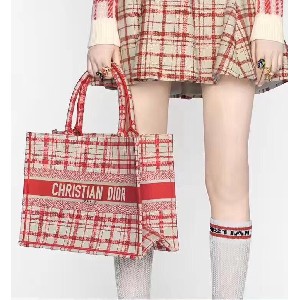 DIOR BOOK TOTE
