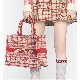 DIOR BOOK TOTE