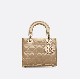 SMALL LADY DIOR BAG