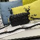 DIOR CARO DOUBLE POUCH