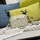 DIOR CARO DOUBLE POUCH